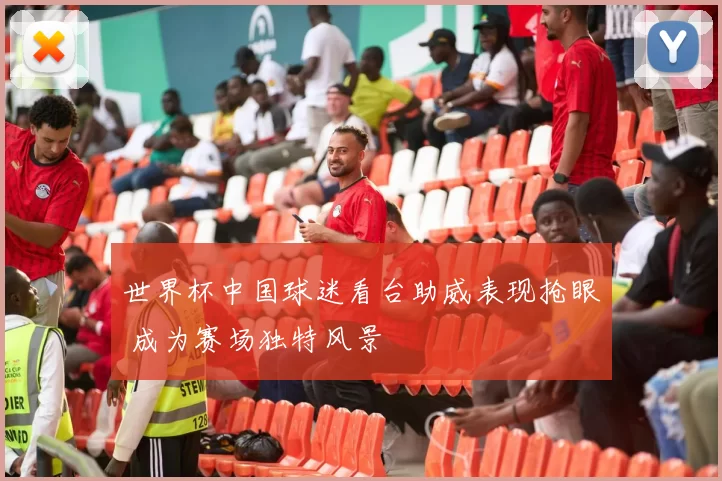 世界杯中国球迷看台助威表现抢眼 成为赛场独特风景