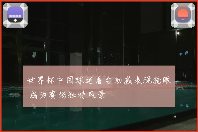 世界杯中国球迷看台助威表现抢眼 成为赛场独特风景