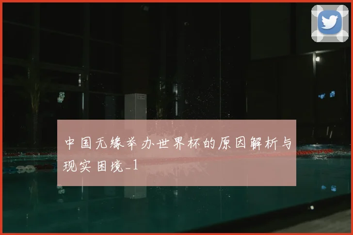 中国无缘举办世界杯的原因解析与现实困境_1